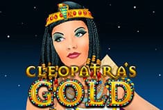 Winnerzon  game-thumb